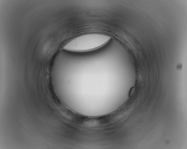 X0000096940551200802080901