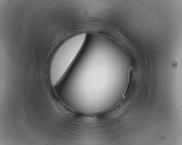 X0000096940552200802080901