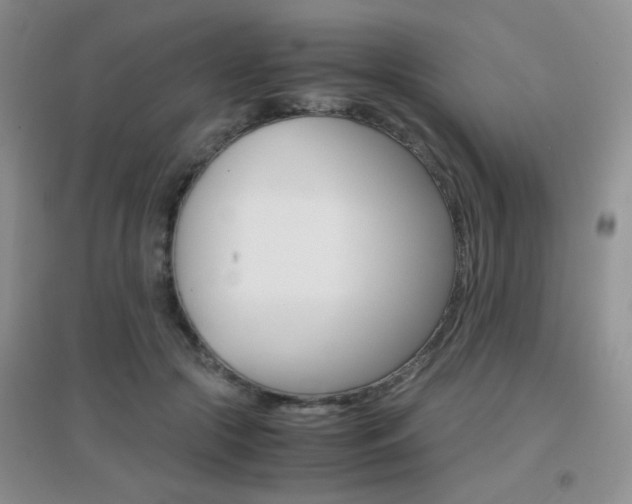 X0000096940553200802080901