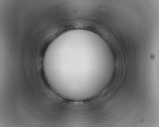 X0000096940554200802080901