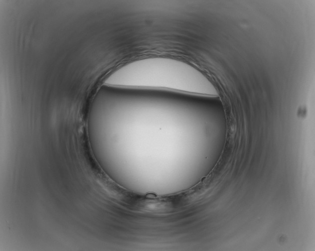 X0000096940555200802080901