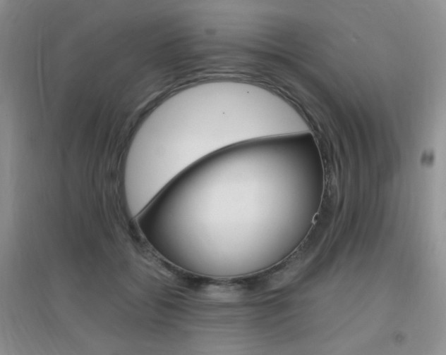 X0000096940556200802080901