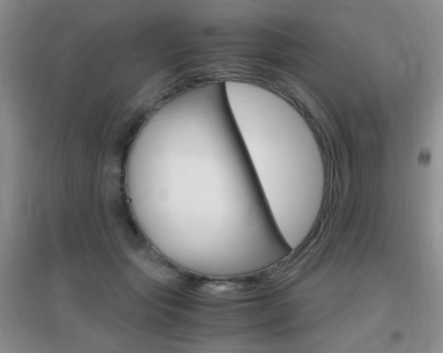 X0000096940557200802080901