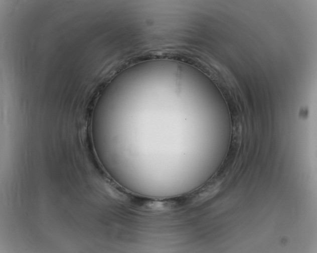 X0000096940558200802080901