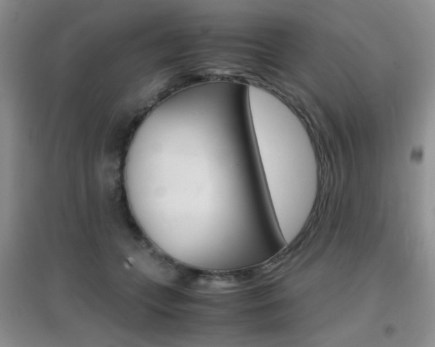 X0000096940559200802080901