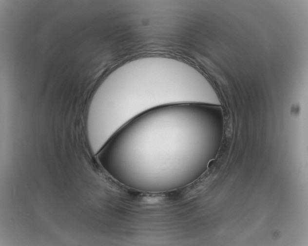 X0000096940560200802080901