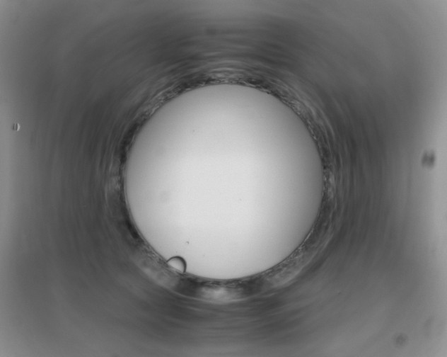 X0000096940561200802080901