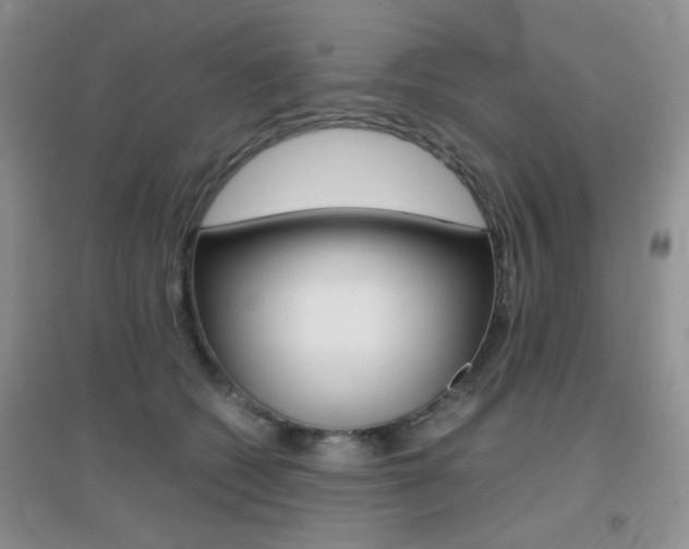 X0000096940562200802080901