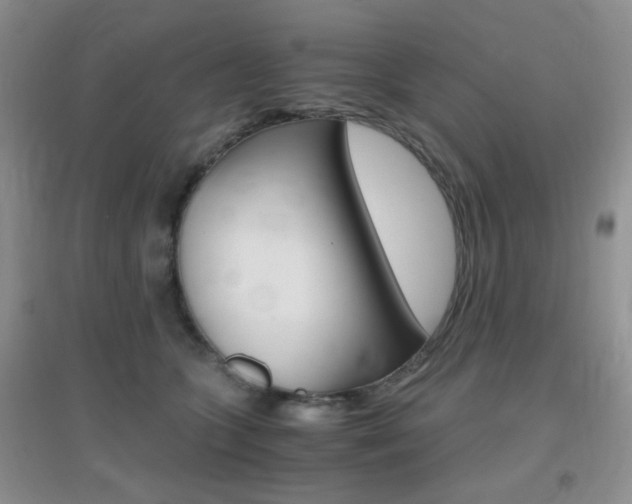 X0000096940563200802080901
