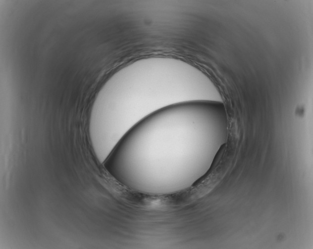 X0000096940564200802080901