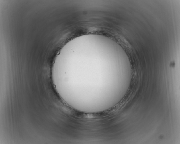 X0000096940565200802080901