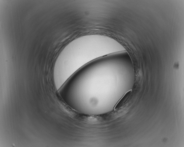 X0000096940566200802080901