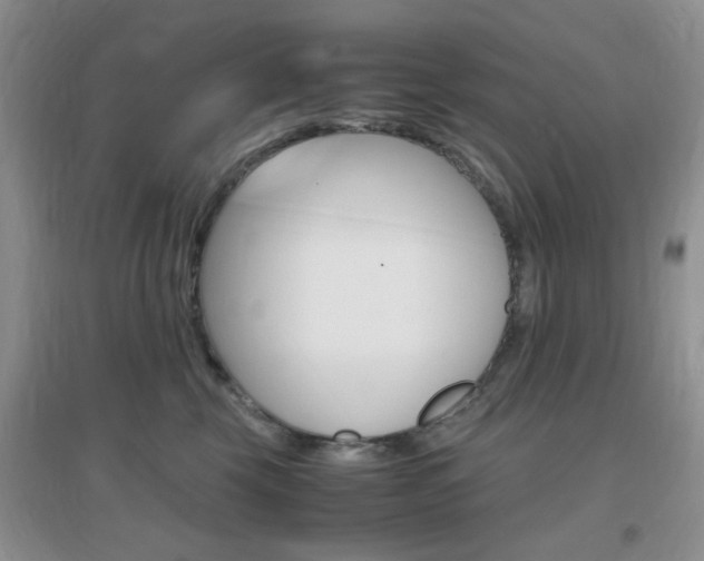 X0000096940569200802080901
