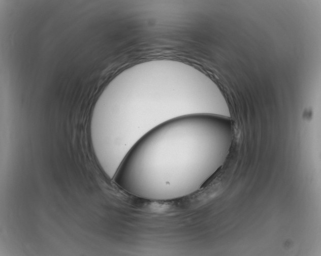 X0000096940570200802080901