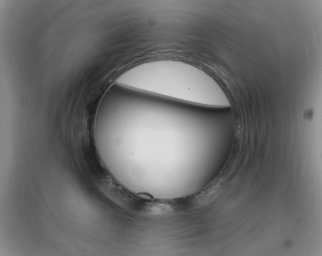 X0000096940572200802080901