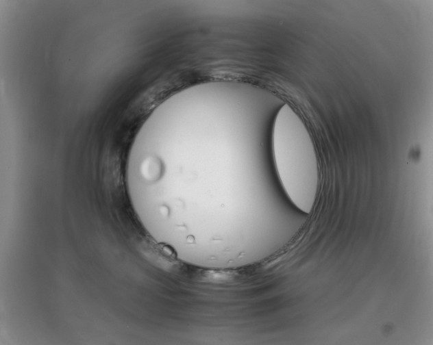 X0000096940573200802080901