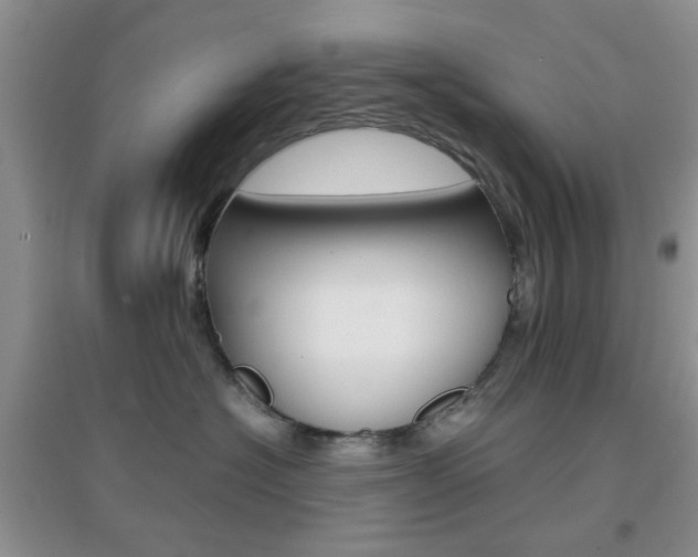 X0000096940574200802080901