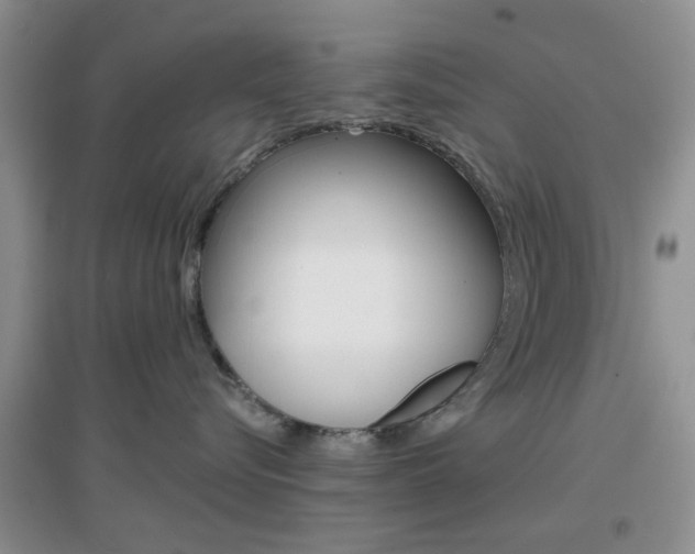 X0000096940576200802080901