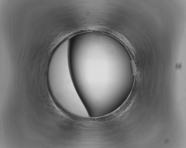 X0000096940577200802080900