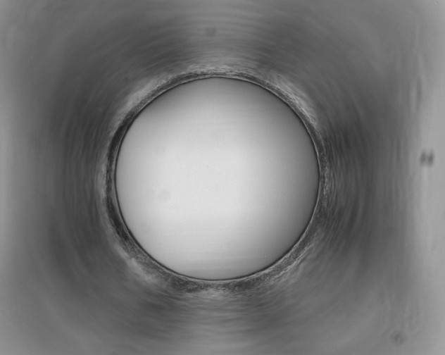 X0000096940578200802080900
