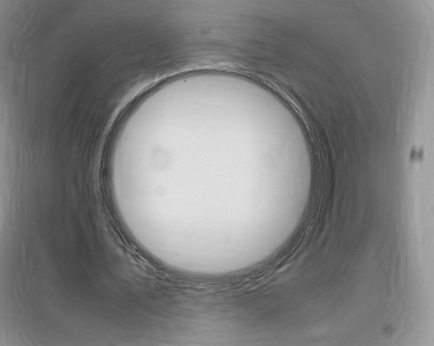 X0000096940579200802080900