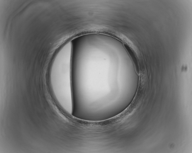 X0000096940581200802080900