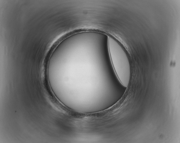 X0000096940584200802080900