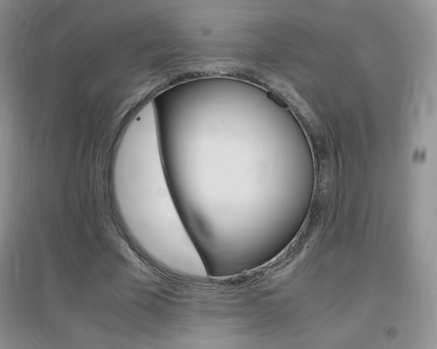 X0000096940585200802080900