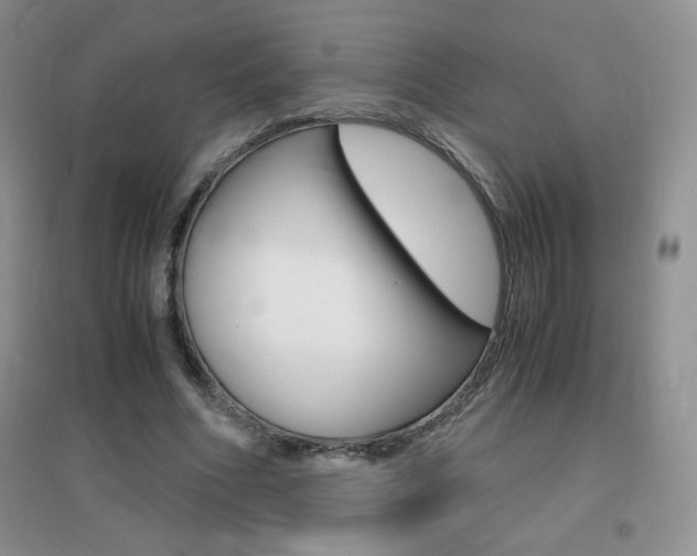 X0000096940586200802080900