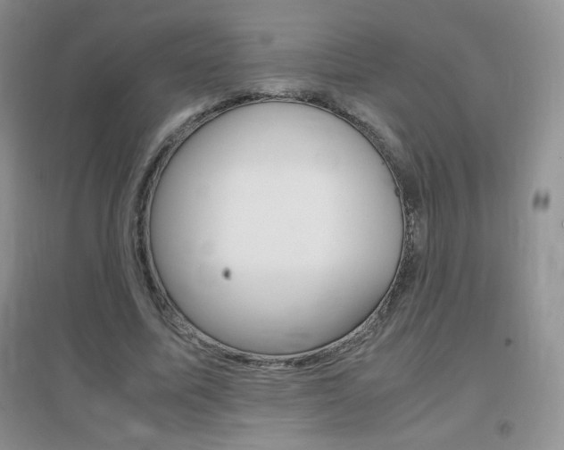 X0000096940587200802080900