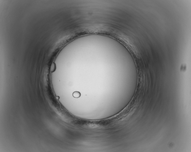 X0000096940590200802080900