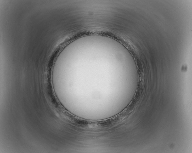X0000096940591200802080900
