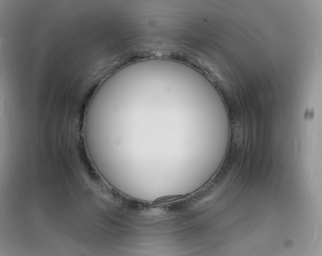 X0000096940594200802080900