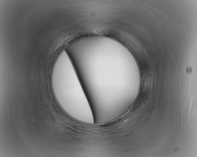 X0000096940595200802080900