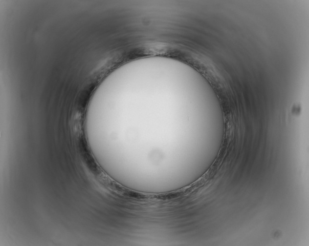 X0000096940598200802080900