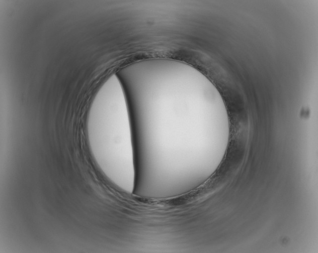 X0000096940599200802080900