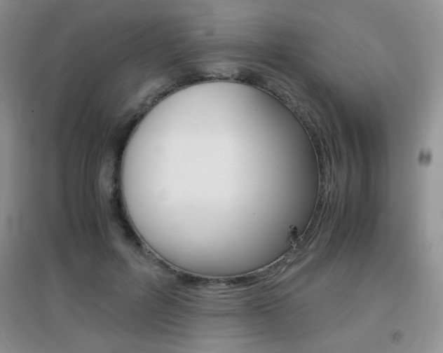 X0000096940600200802080900