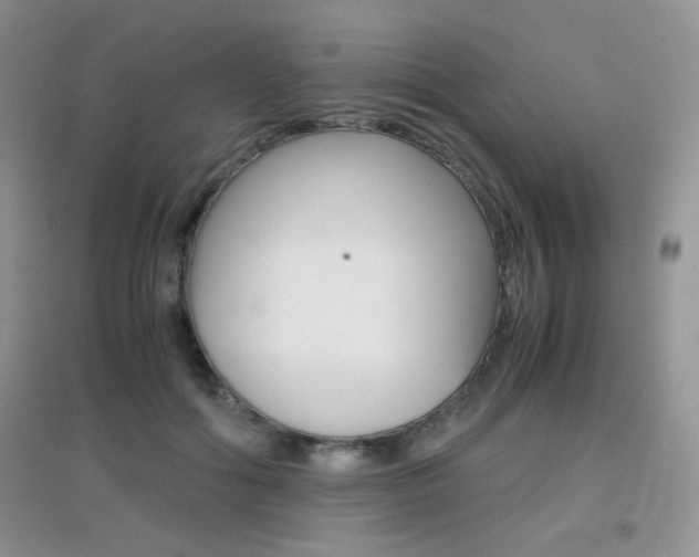 X0000096940602200802080900