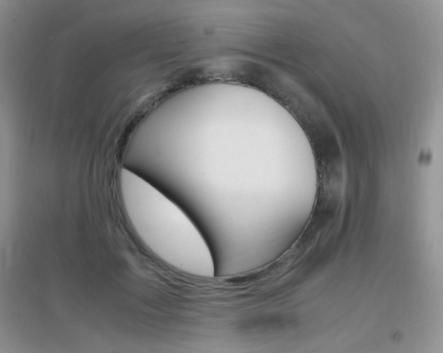 X0000096940603200802080900