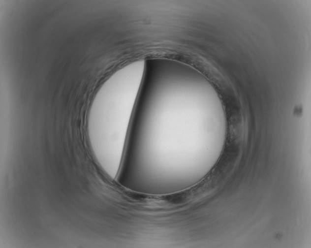 X0000096940605200802080900