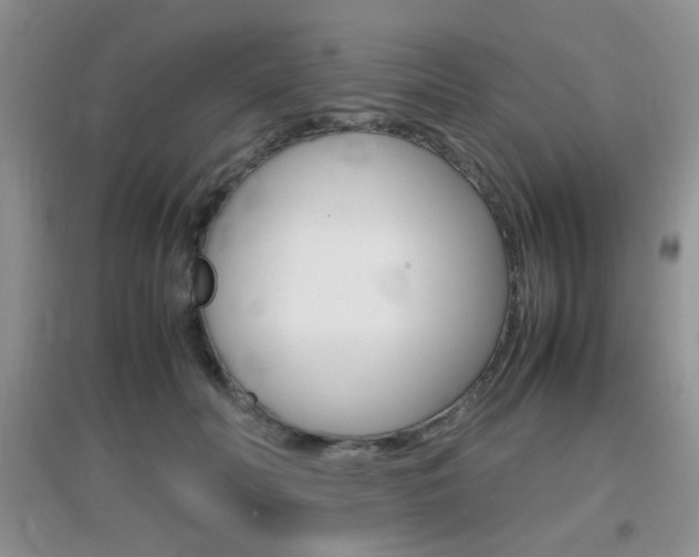 X0000096940606200802080900