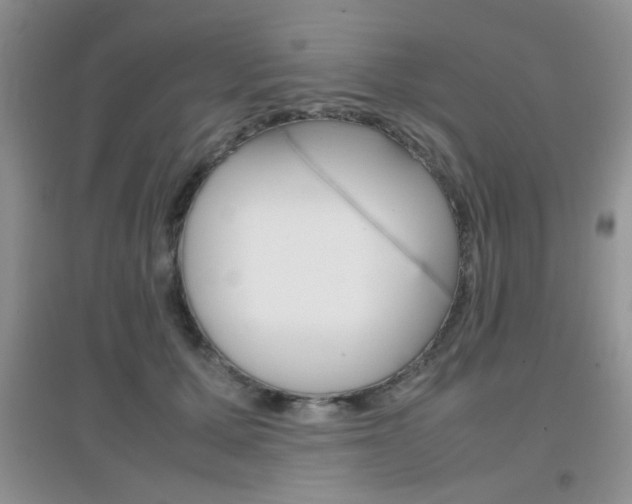 X0000096940607200802080900