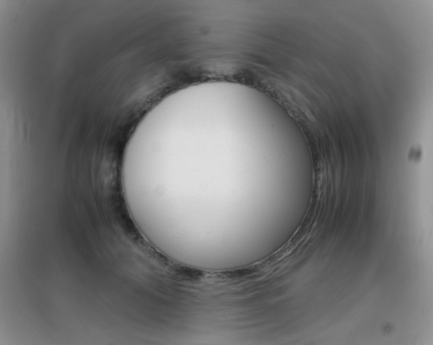 X0000096940608200802080900