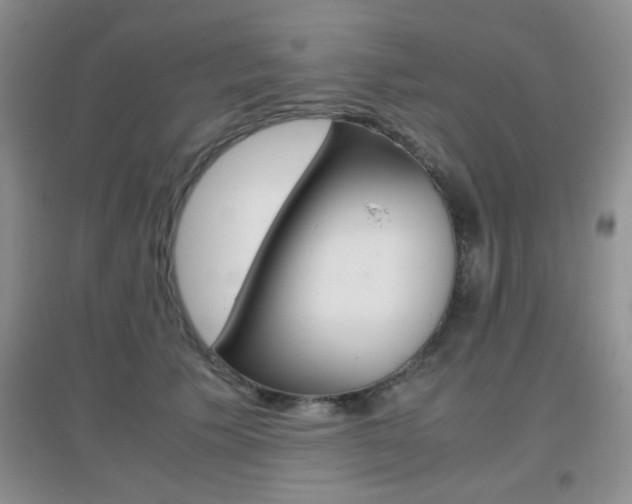 X0000096940609200802080900