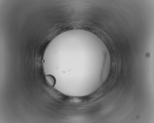 X0000096940610200802080900