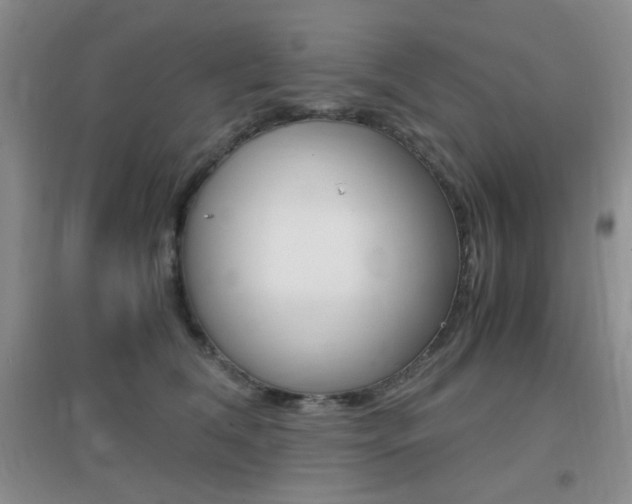 X0000096940612200802080900