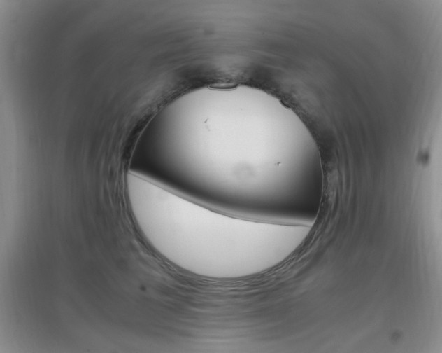 X0000096940613200802080900