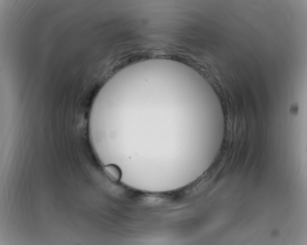 X0000096940614200802080900