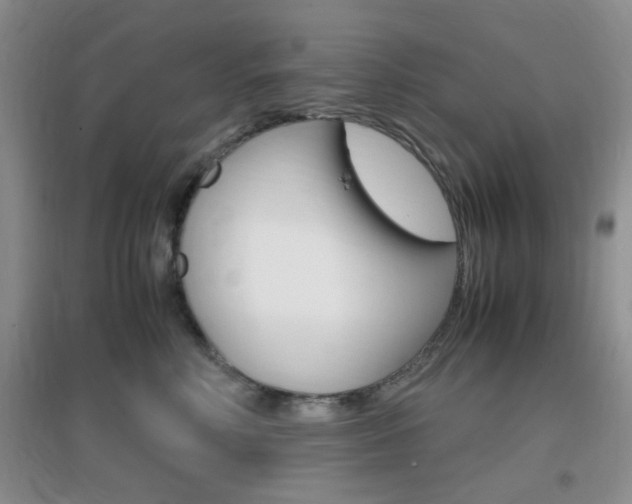 X0000096940618200802080900