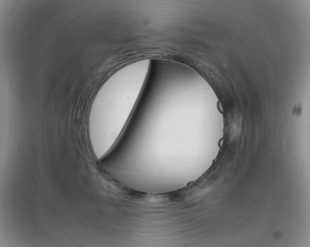 X0000096940619200802080900